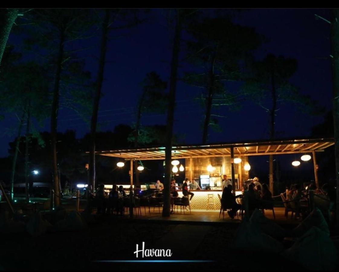 Havana House Sakes Экстерьер фото